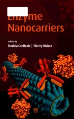 enzyme nanocarriers