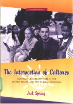 The lntersection of Cultures