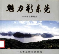 魅力新东莞  2004年记事周年