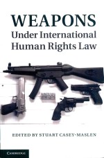 Weapons Under International Human Rights Law