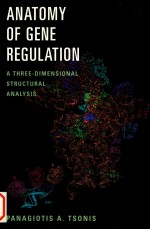 Anatomy of gene regulation a three dimensional structural analysis