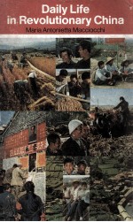 DAILY LIFE IN REVOLUTIONARY CHINA