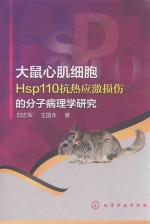 大鼠心肌细胞Hsp110抗热应激损伤的分子病理学研究