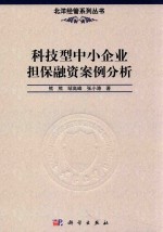 科技型中小企业担保融资案例分析