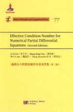 effective condition number for numerical partial differential equations(second edition)=偏微分方程数值的有效条件