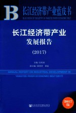 2017长江经济带产业蓝皮书  长江经济带产业发展报告