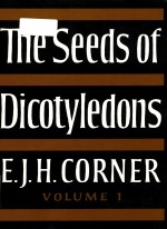 The seeds of dicotyledons Volume 1