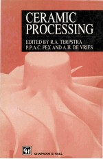 Ceramic Processing