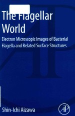 the flagellar world electron microscopic images of bacterial flagella and related surface structures