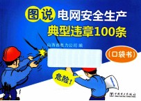 图说电网安全生产典型违章100条  口袋书