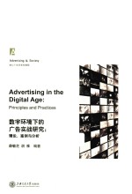 数字环境下的广告实战研究  理论、案例与分析