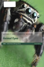 Animal eyes second edition