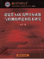 超宽带SAR浅埋目标成像与检测的理论和技术研究