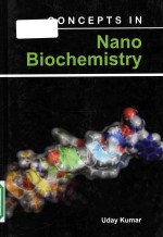 Concepts in nano biochemistry