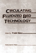 CIRCULATING FLUIDIZED BED TECHNOLOGY