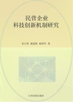 民营企业科技创新机制研究