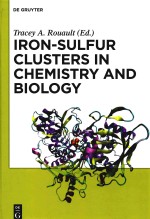 iron-sulfur clusters in chemistry and biology