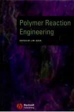 Polymer Reaction Engineering