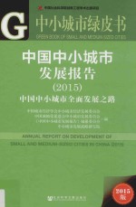 中国中小城市发展报告  中国中小城市全面发展之路  2015