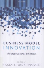 business model innovationthe organizational dimension