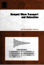 Damped Wave Transport and Relaxation