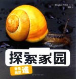 看看我是谁  探索家园  0-6岁