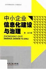 中小企业信息化建设与治理