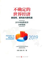 不确定的世界经济  新变局、新风险与新机遇  2019年世界经济分析报告