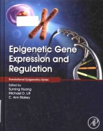 epigenetic gene expression and regulation