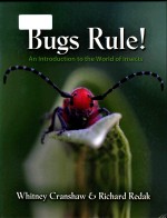 bugs rule! an introduction to the world of insects