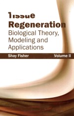 Tissue regeneration biological theory