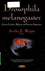 drosophila melanogaster genome evolution