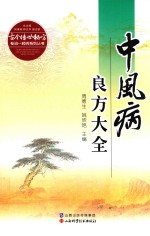 中风病良方大全