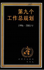 第九个工作总规划  1996-2001