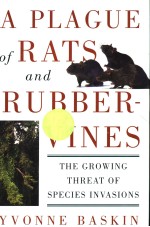 A PLAGUE OF RATS AND RUBBERNINES