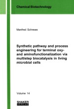 Synthetic pathway and process engineering for terminal oxy- and aminofunctionalization via multistep