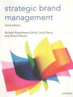 strategic brand management  third edition