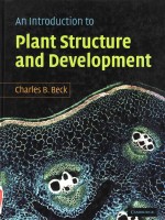 An introduction to plant structure and development plant anatomy for the twenty-first century