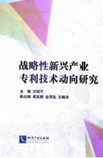 战略性新兴产业专利技术动向研究