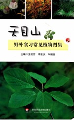 天目山野外实习常见植物图集