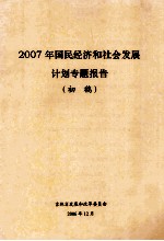 2007年国民经济和社会发展  计划专题报告初稿