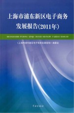 上海市浦东新区电子商务发展报告  2011年