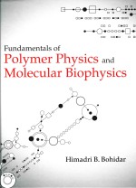 fundamentals of polymer physics and molecular biophysics