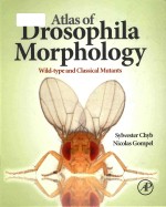 atlas of drosophila morphology wild-type and classical mutants