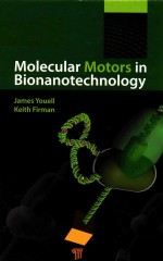 molecular motors in bionanotechnology