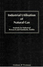 Industrial Utilisation of Natural Gas