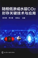 陆相低渗咸水层CO2封存关键技术与应用