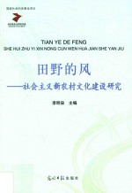 田野的风  社会主义新农村文化建设研究