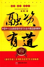 融资有道  中国中小企业融资操作技巧大全与精品案例解析  最新修订精华版