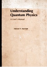 UNDERSTANDING QUANTUM PHYSICS